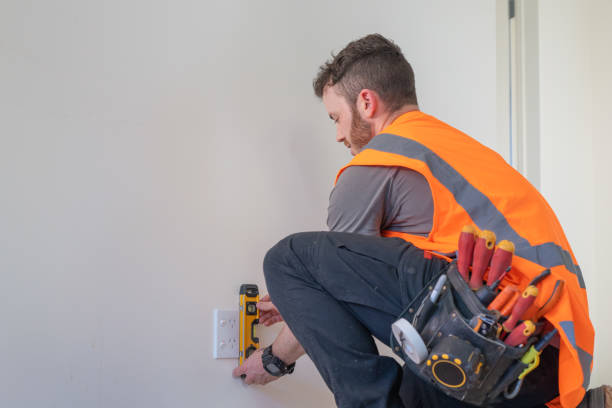 Best 24-Hour Electrician  in Roodhouse, IL