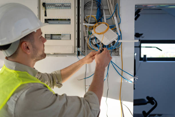 Best Electric Panel Repair  in Roodhouse, IL